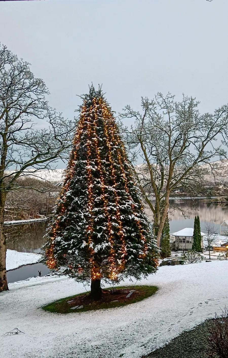 Opplyst juletre i snøen nede ved sjøen